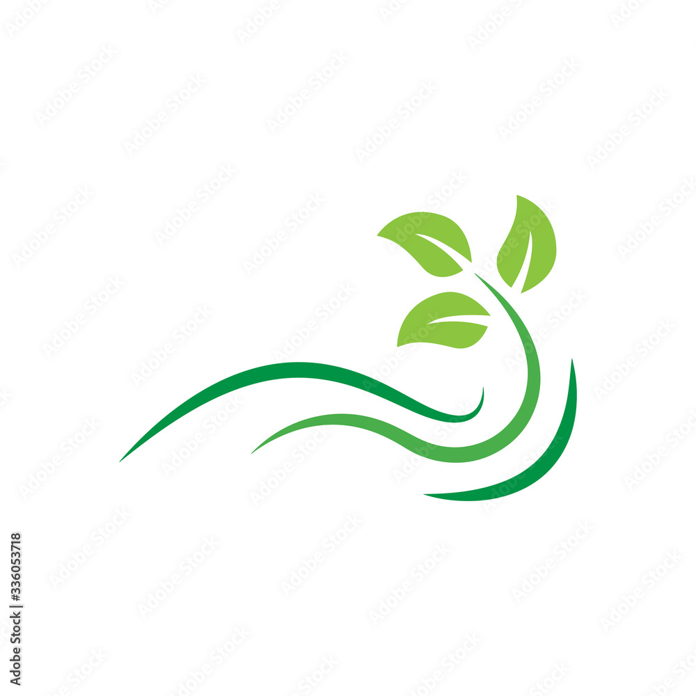 Stylized twig elements with leaves, Green leaf collection, Leaf icon vector isolated on white background. Various shapes of green leaves on trees and plants, floral elements 