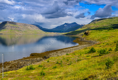 Beautiful rugged Iceland Fjord seascape