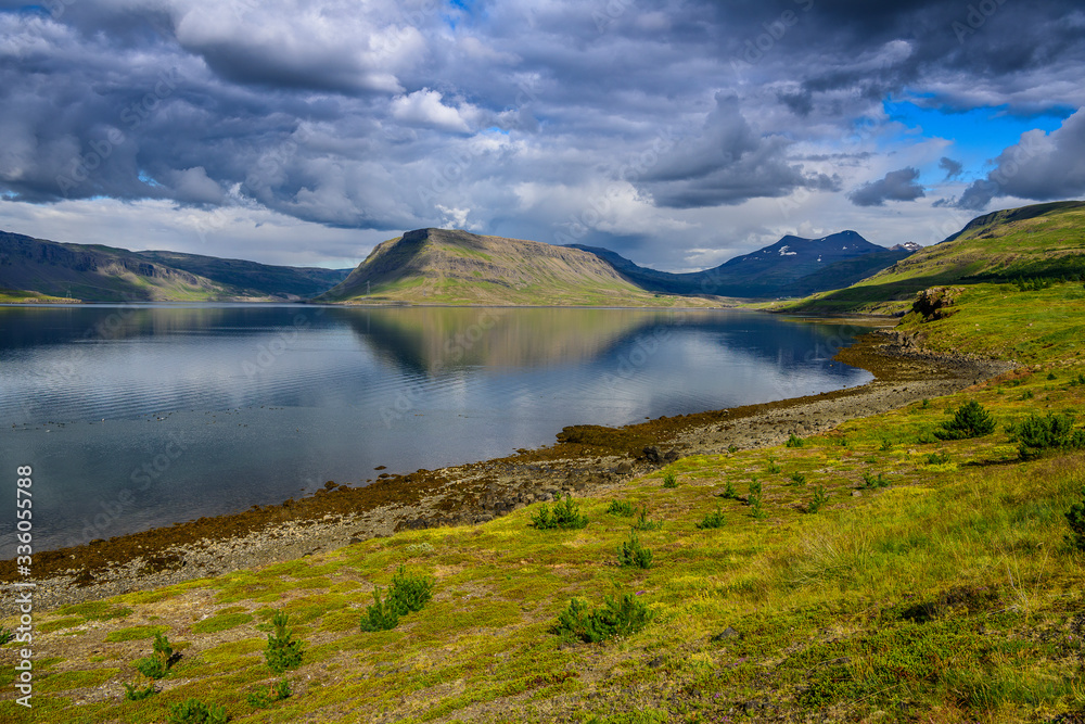 Beautiful rugged Iceland Fjord seascape