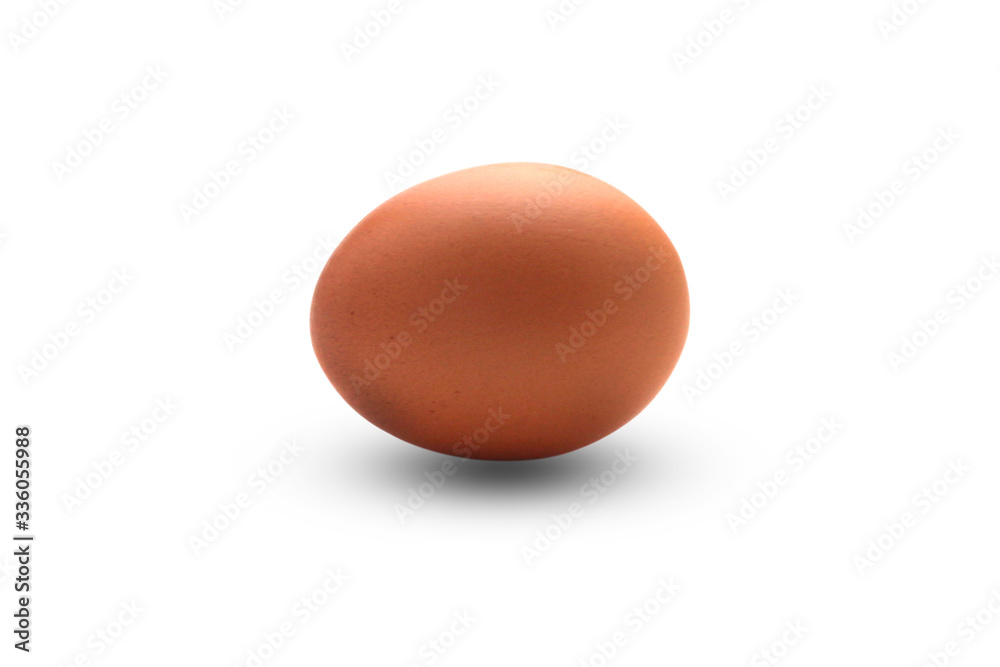 Single brown chicken egg isolated on white background with clipping path