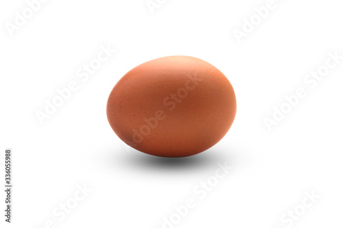 Single brown chicken egg isolated on white background with clipping path
