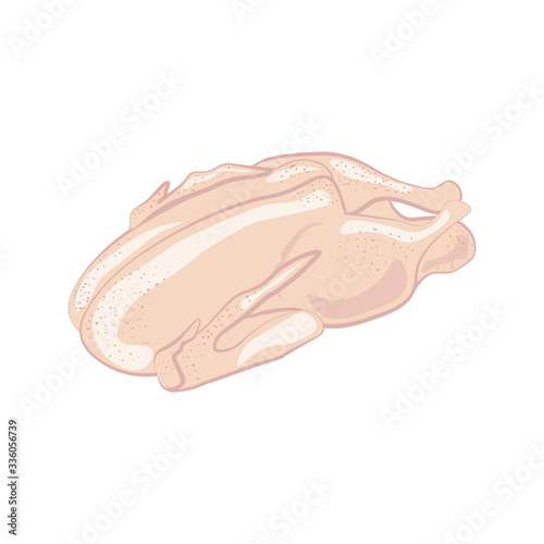 Duck organic farm bird meat vector illustration