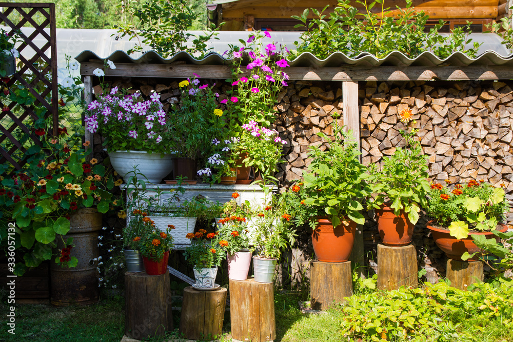 Country exterior. Decorative stack of firewood with numerous ceramic and steel pots with colorful flowers