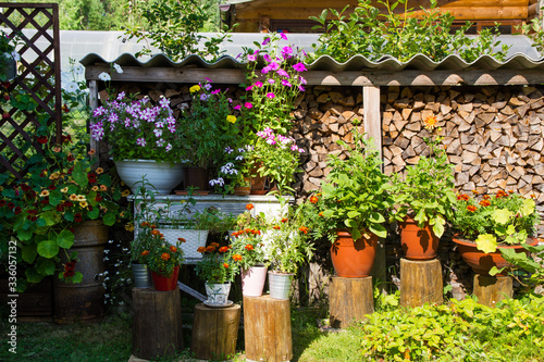 Country exterior. Decorative stack of firewood with numerous ceramic and steel pots with colorful flowers © Дмитрий Березнев