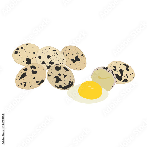 Quail organic fresh spotted eggs vector illustration