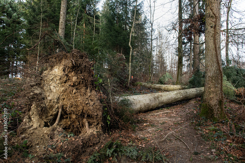 Foto Storm damage storm low Petra 4201