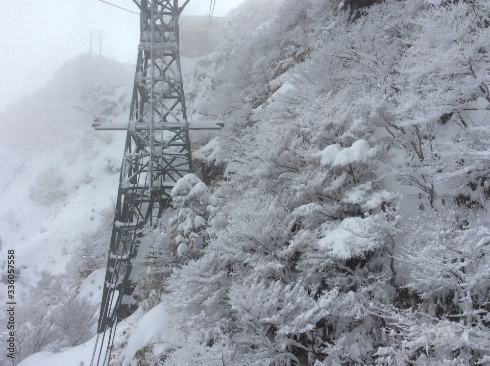 Fototapeta premium Scenery from the ropeway of Mt. Gozaisho 