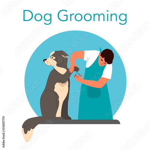 Professional barber grooming dog. Man caring of pet fur