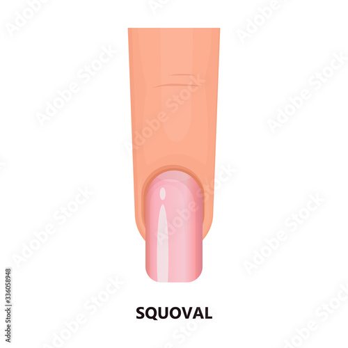 Shape nail vector icon.Cartoon vector icon isolated on white background shape nail.