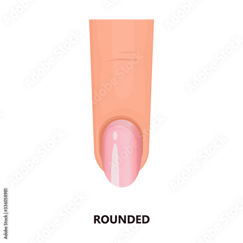 Shape nail vector icon.Cartoon vector icon isolated on white background shape nail.