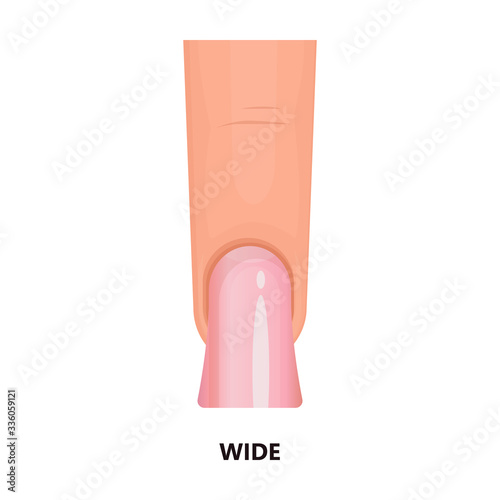 Shape nail vector icon.Cartoon vector icon isolated on white background shape nail.