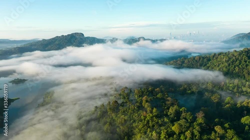 UHD Aerial time lapse view flying over lush green tropical foggy rain forest with city skyline in background. Rolling clouds in early morning sunrise in Kuala Lumpur