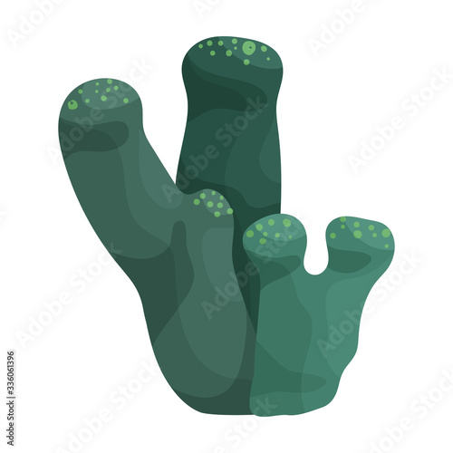 Coral vector icon.Cartoon vector icon isolated on white background coral.