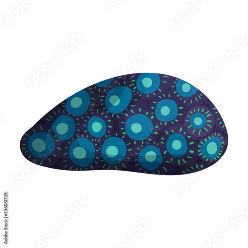 Coral vector icon.Cartoon vector icon isolated on white background coral.