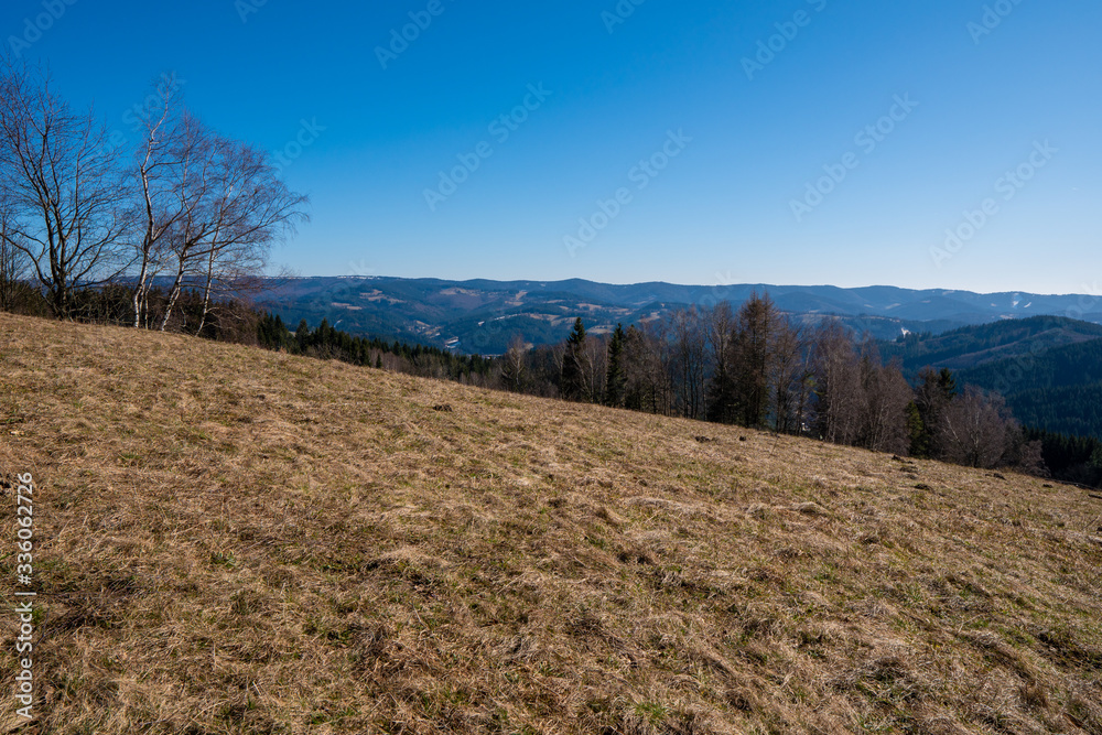 Meadow in mountains in early spring,  Beskydy Mountains czech
