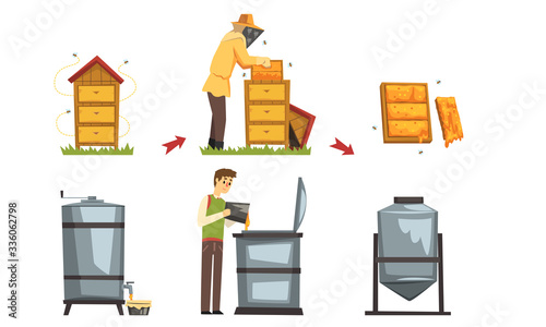 Honey Production Process, Beekeeper Harvesting and Preserving Natural Product Vector Illustration