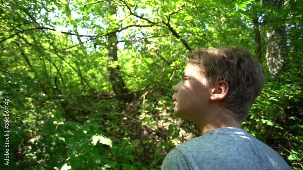 Closeup view video of young white kid standing in beautiful green old forest looking up at huge trees overhead. Closeup view video of young white kid standing in beautiful green old forest looking up at huge trees overhead.