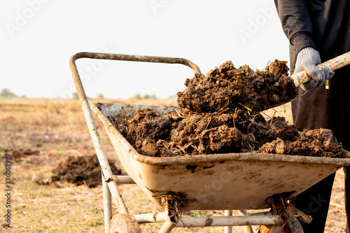 Animal dung or manure at the cattle and central farms.