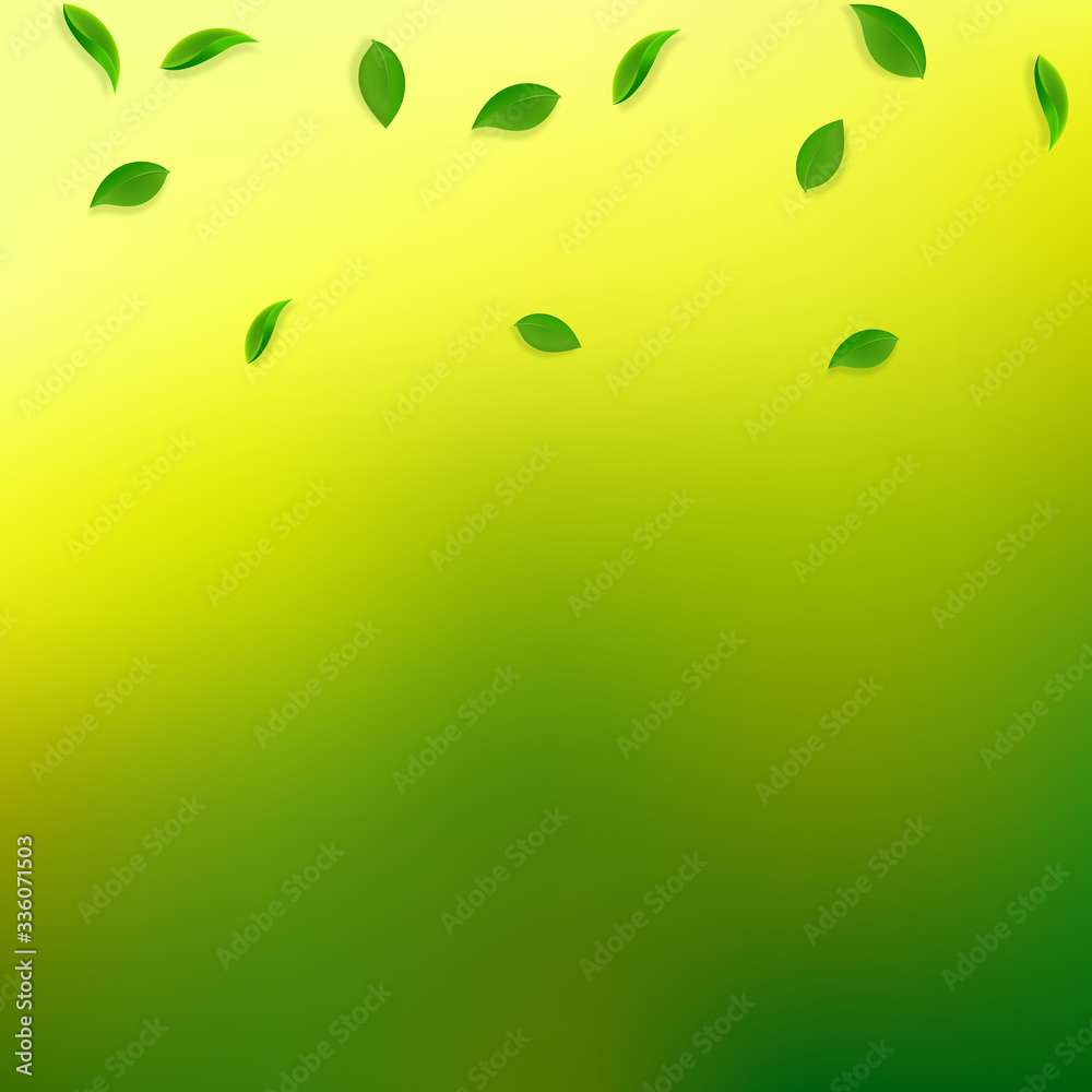 Falling green leaves. Fresh tea random leaves flyi Falling green leaves. Fresh tea random leaves flyi