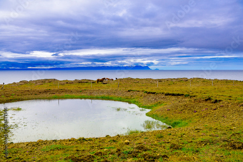 Beautiful rugged Iceland coast seascape