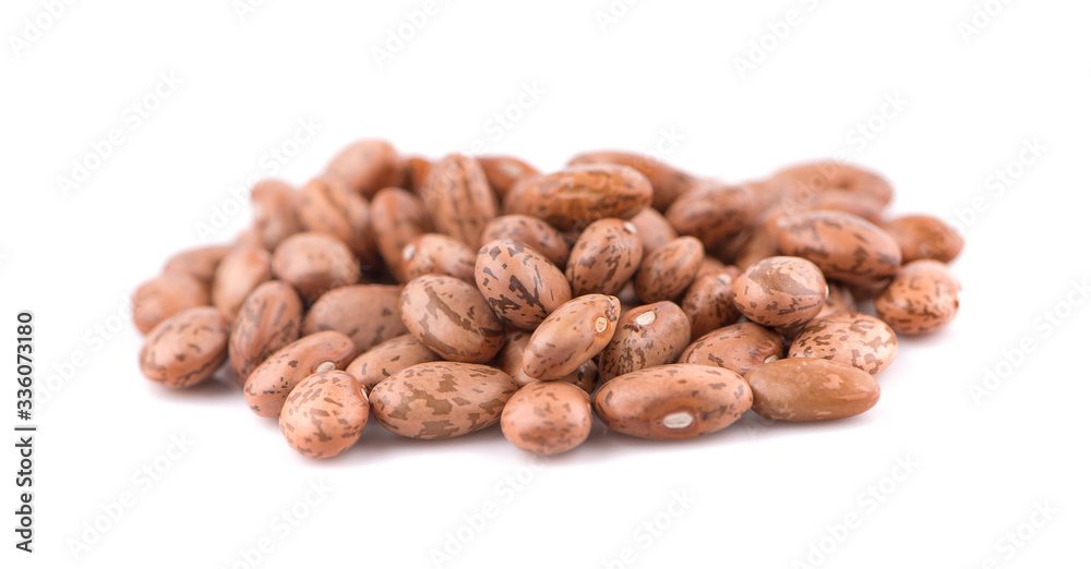 Pinto beans an isolated on white background Pinto beans an isolated on white background
