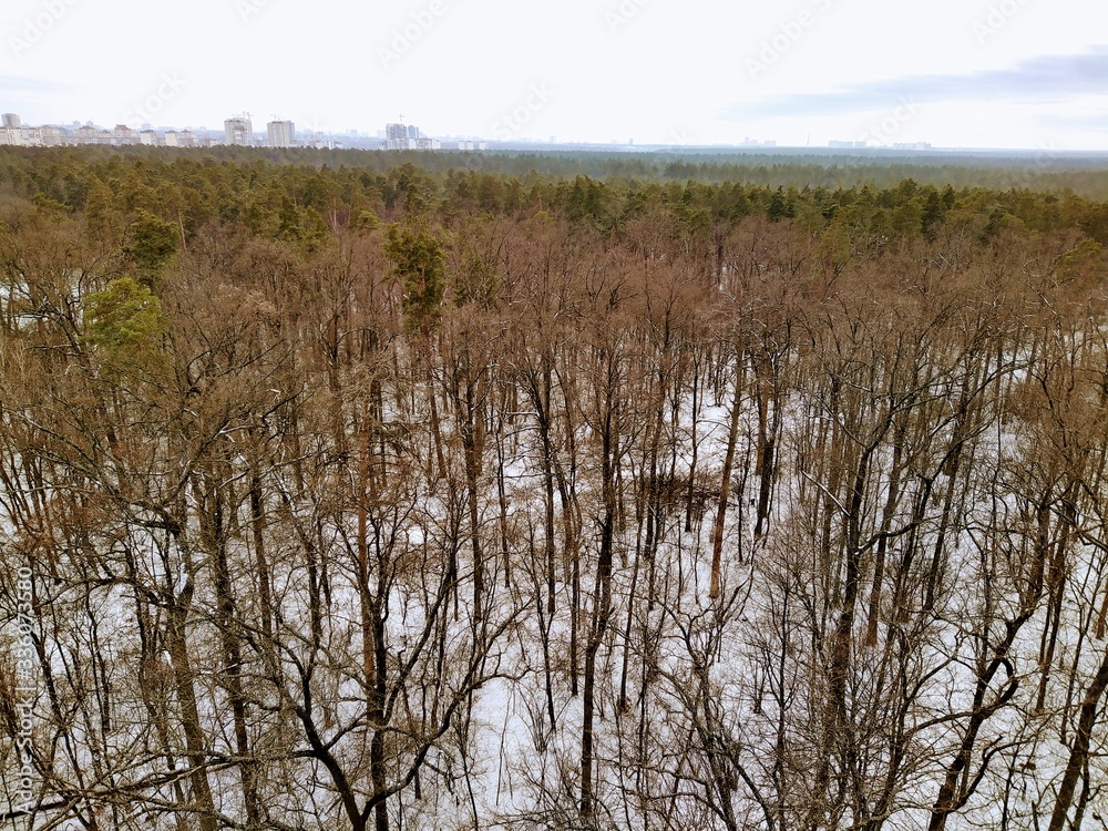 Aerial panoramic view of snowy forest and city Aerial panoramic view of snowy forest and city