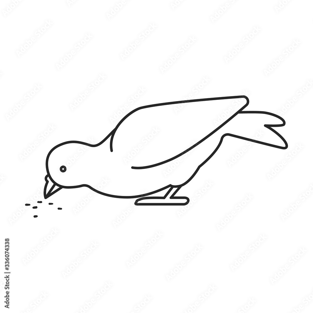 Pigeon vector icon.Outline vector icon isolated on white background pigeon. Pigeon vector icon.Outline vector icon isolated on white background pigeon.