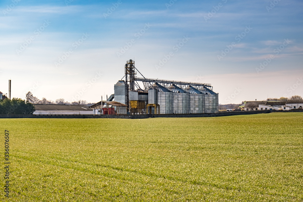 Fototapeta premium agro-processing and manufacturing plant for processing and silver silos for drying cleaning and storage of agricultural products, flour, cereals and grain. Granary elevator.