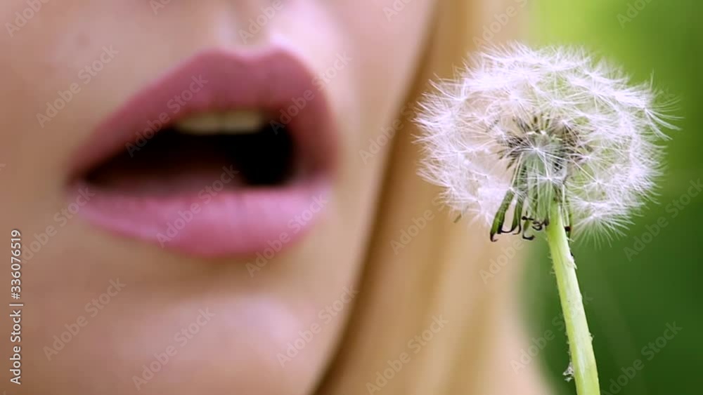 Girl lips, blowing on a dandelion and smiling.