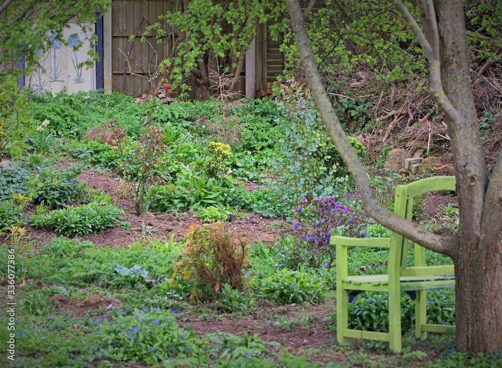 Secret garden, in a forest clearing. Secret garden, in a forest clearing.