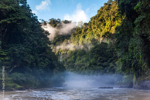 Fototapeta Naklejka Na Ścianę i Meble -  Jungle and River in the Peruvian Amazon