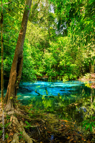 Blue Pool, turquoise crystal clear spring hidden in middle of forest, Krabi, Thailand © wirojsid