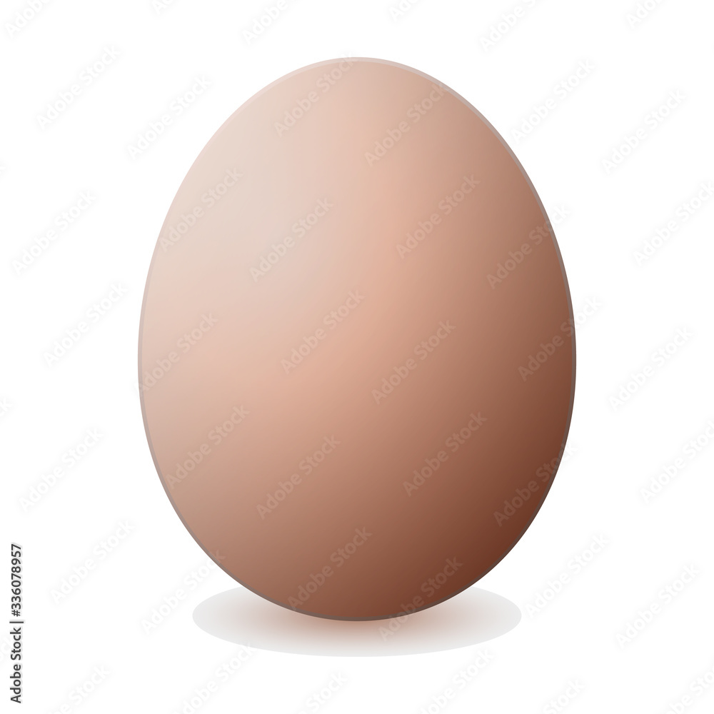 Egg vector icon. Realistic vector icon isolated on white background egg. Egg vector icon. Realistic vector icon isolated on white background egg.