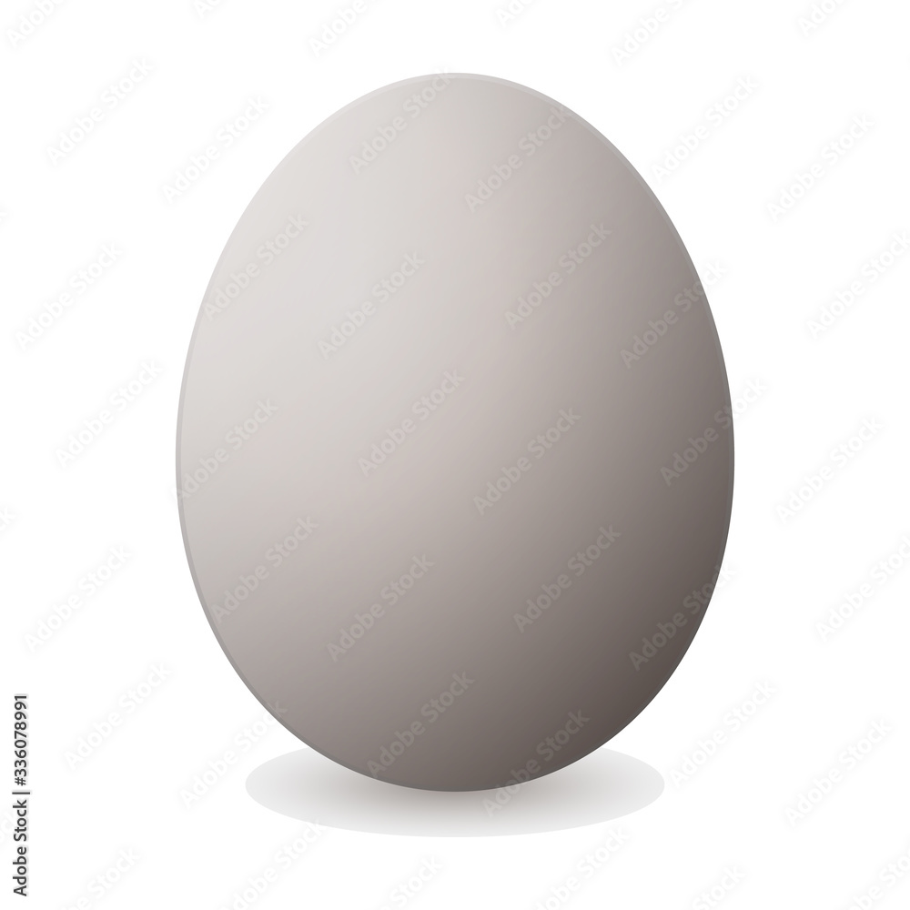 Egg vector icon. Realistic vector icon isolated on white background egg.