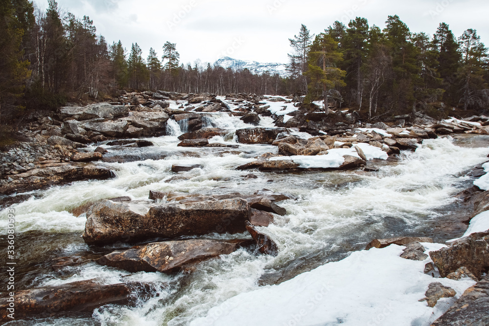 Mountain river on background of rocks and forest. Forest river water landscape. Wild river in mountain forrest panorama. Place for text or advertising