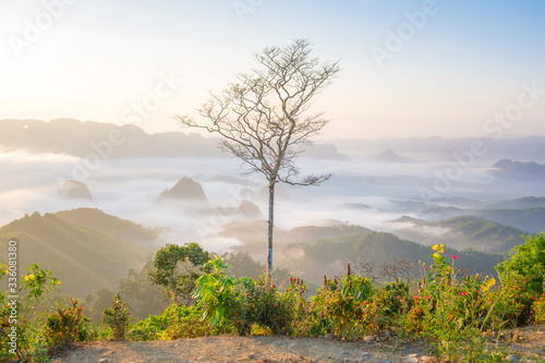 Beautiful scenery during sunrise of Doi Tapang (Doi Ta Pang) Viewpoint at Khao Talu Subdistrict, Sawi District, Chumphon province in Thailand. photo