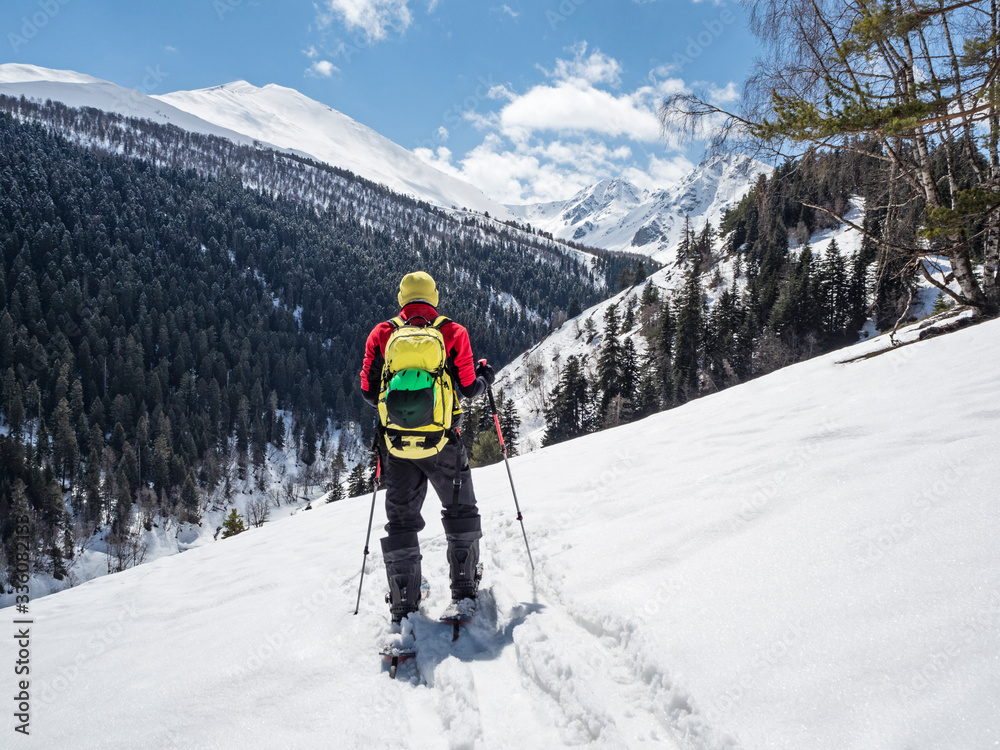 Active man with backpack and sticks ski touring at mountains and forest background
