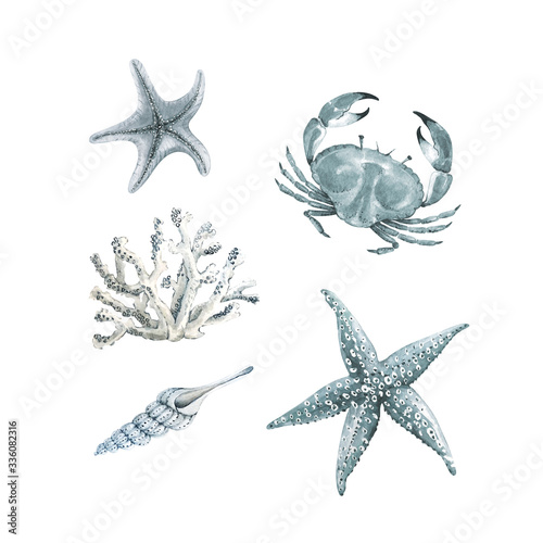 Set of watercolor illustrations with sea inhabitants. crab, starfish, coral on a white background