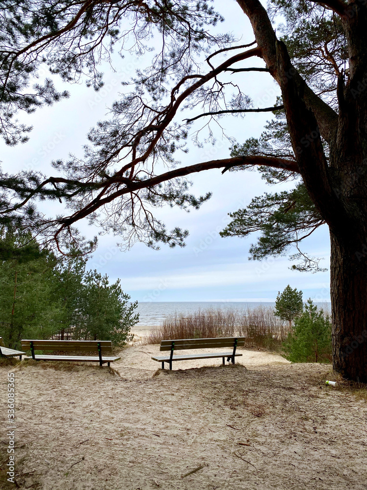 Baltic sea landscape