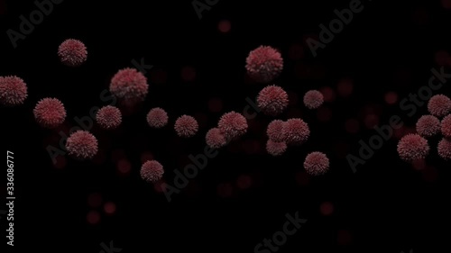 reproduction of a viral infection