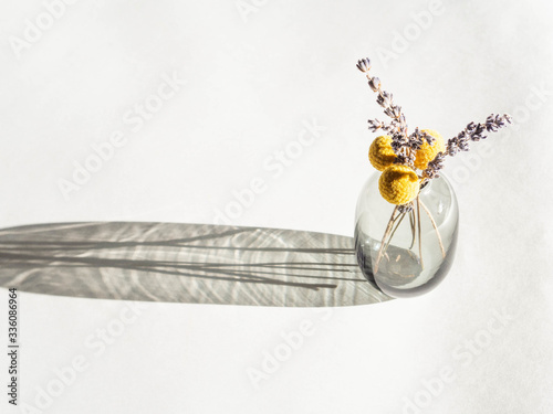 Glass vase with dried flowers - craspedia and lavender on a white background and a shadow from it photo