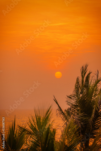 Tropical sunset with sun, palms and the sea