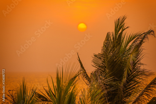 Tropical sunset with sun, palms and the sea