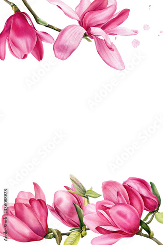 Fototapeta Naklejka Na Ścianę i Meble -  greeting card, branch of pink magnolia on an isolated white background, watercolor flowers