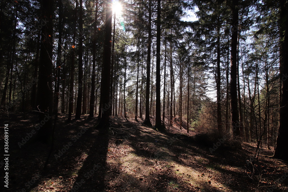 Obraz premium Landschaften aus Oberfranken im Fühling