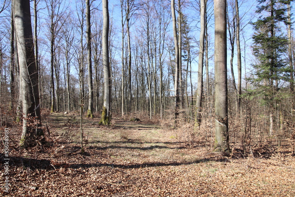 Landschaften aus Oberfranken im Fühling Landschaften aus Oberfranken im Fühling