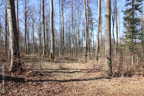 Landschaften aus Oberfranken im Fühling