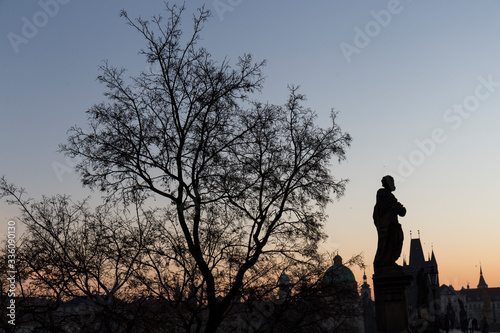 silhouette of a tree and a statue of the charles bridge during sunset © Eloy