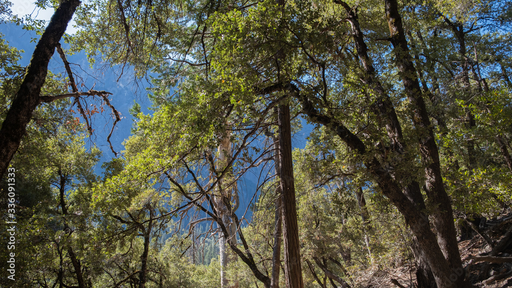 View on the mountains of Yosemite national park, with cliff and a blue sky View on the mountains of Yosemite national park, with cliff and a blue sky