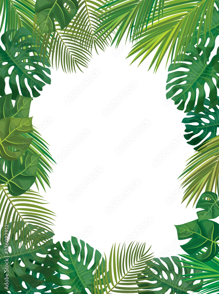 Vectot  frame,  tropical leaves isolated.